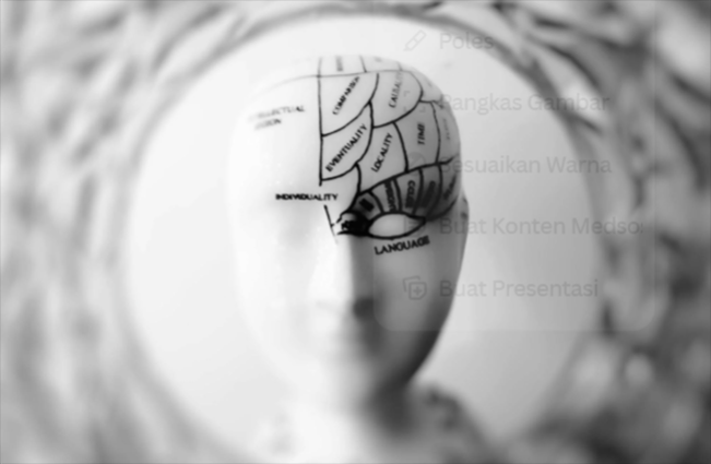 Ilustrasi/Foto: meo, pexels.com